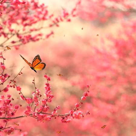 riscoprire la propria natura