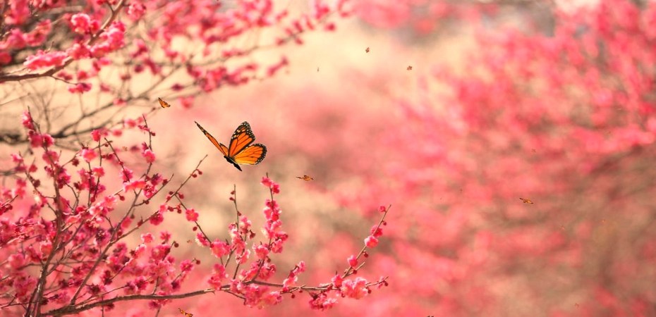 riscoprire la propria natura