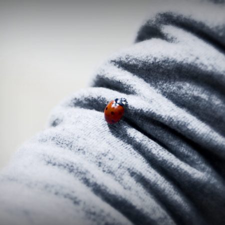 le cose importanti della vita