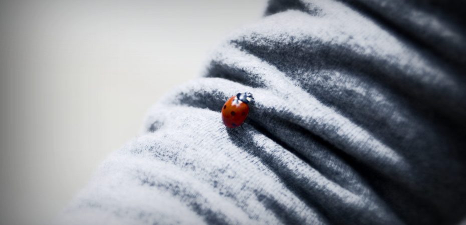 le cose importanti della vita