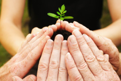 Wachstum mit Teamwork