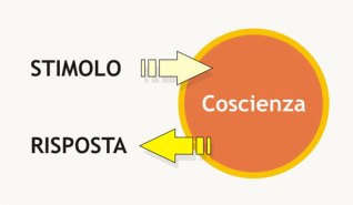 abitudine governa la vita non la ragione