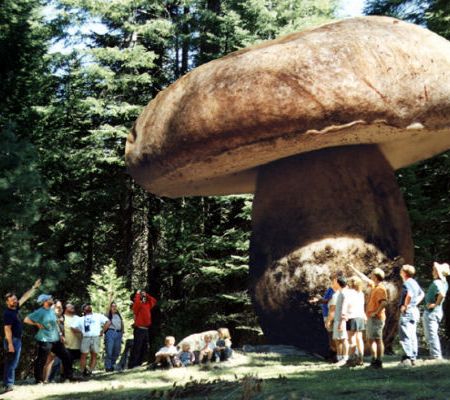 salto quantico, sembra non cambi niente