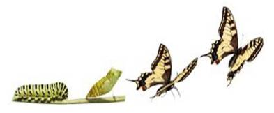 tutto cambia, essere felici