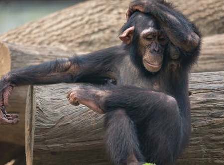 come comunicare meglio