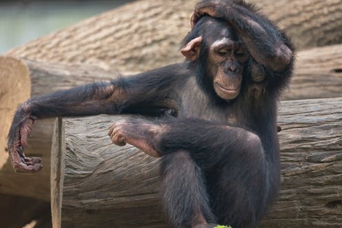 come comunicare meglio