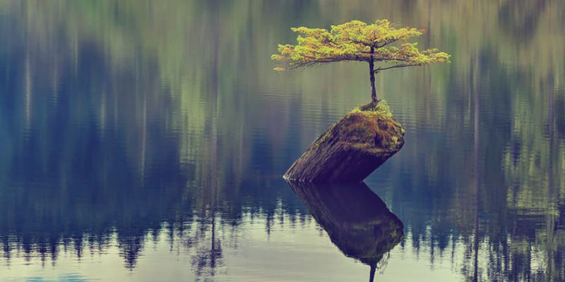 resilienza forza d'animo