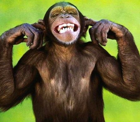 come non ascoltare gli altri