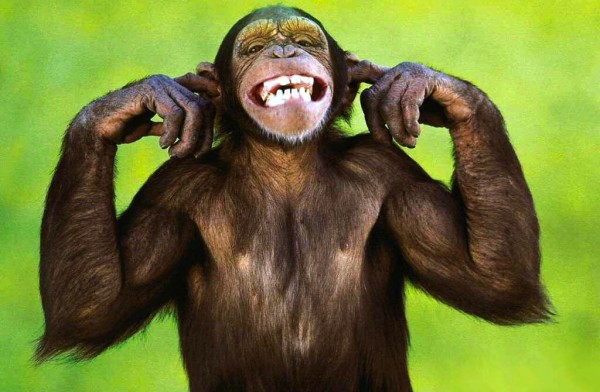 come non ascoltare gli altri