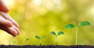 crescita personale spirituale