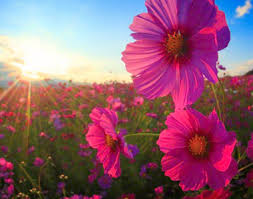 sintonizzarsi con l abbondanza