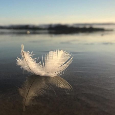 come controllare la mente