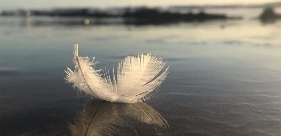 come controllare la mente