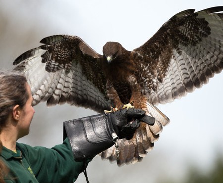 complesso di inferiorità come curarlo
