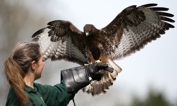 complesso di inferiorità come curarlo