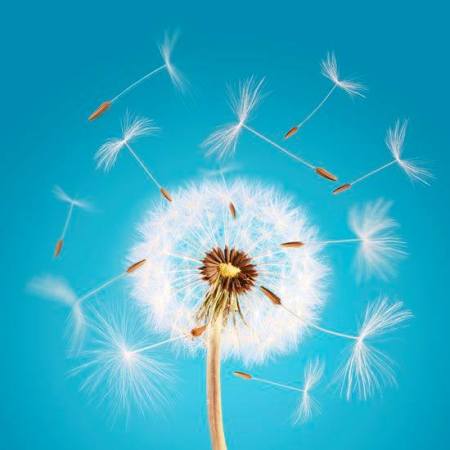 fare silenzio e poi in silenzio fare