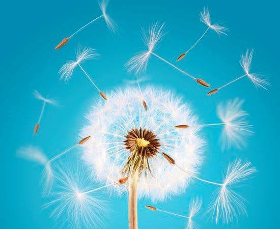 fare silenzio e poi in silenzio fare